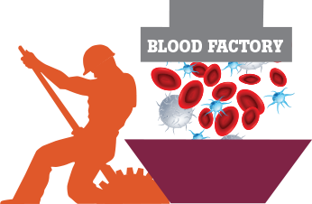 A cartoon representation of a factory worker acting as a blood factory creating red and white blood cells and platelets